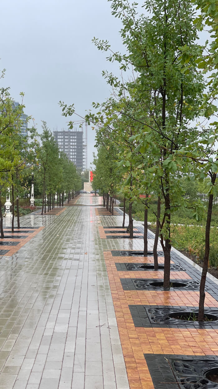 Приствольная решетка для дерева ZKING CRUST 1.2х1.2м Черная в Салавате фото