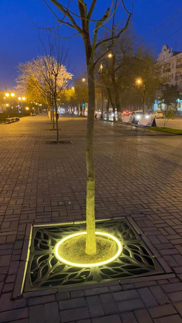 Приствольная решетка для дерева ZKING CRUST 1.2х1.2м Черная в Салавате фото